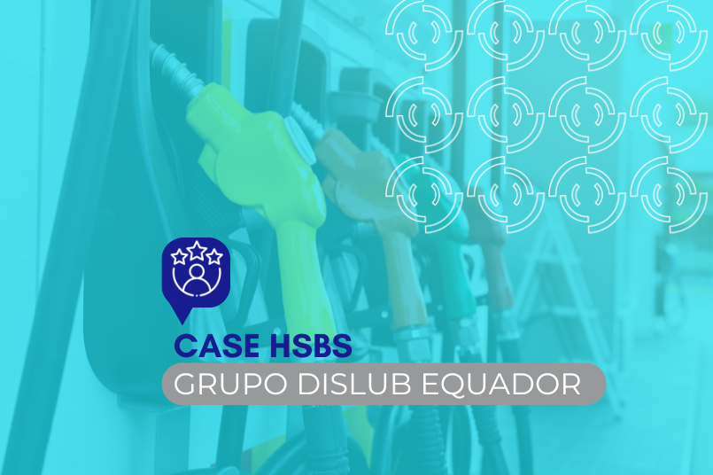 Grupo Dislub Equador